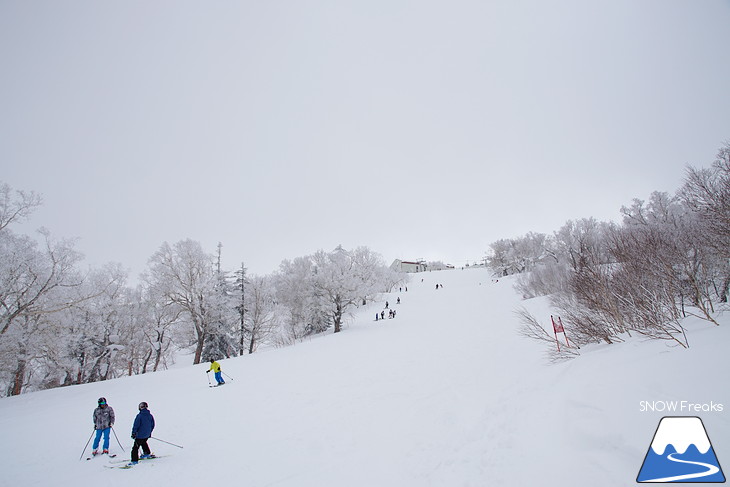 札幌国際スキー場 Welcome back POWDER SNOW !! ～パウダースノー復活～